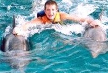 Swim With Dolphins in the Mayan Riviera-Royal Swim